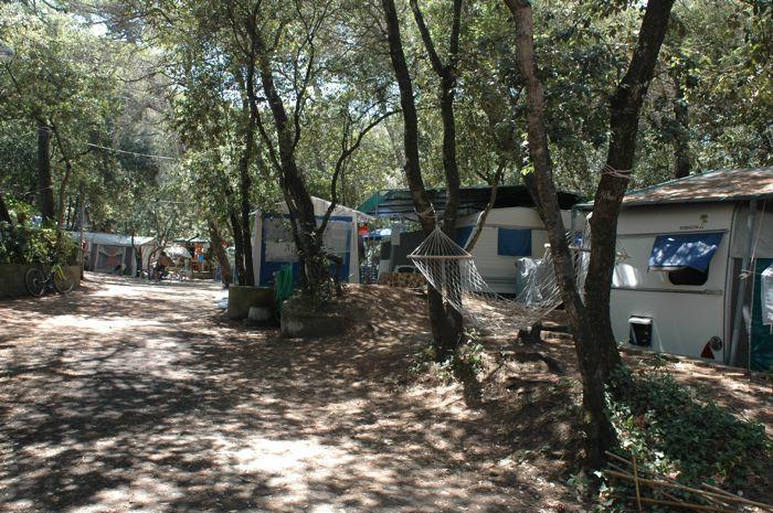 Camping Continental Marina di Castagneto Carducci Exterior photo